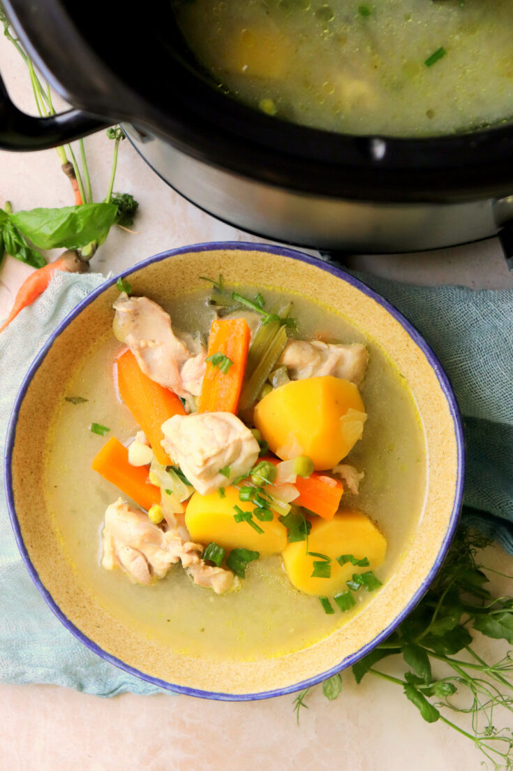 Slow Cooker Chicken Stew - Simply Low Cal